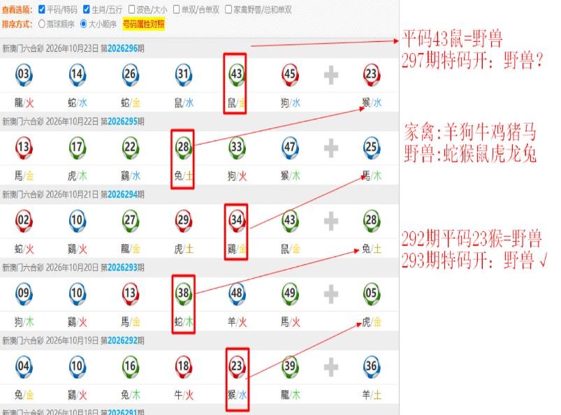 规律10