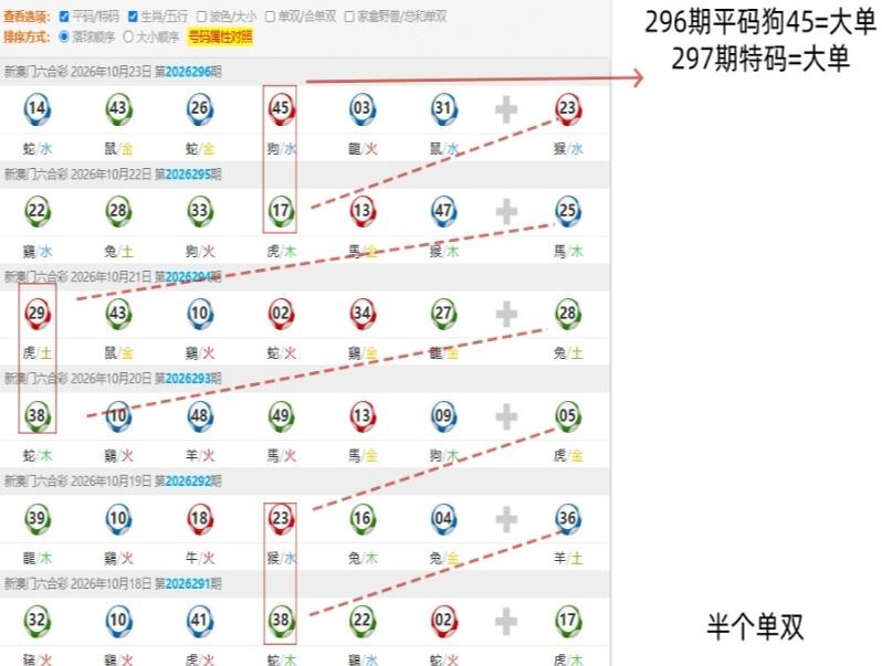 规律11
