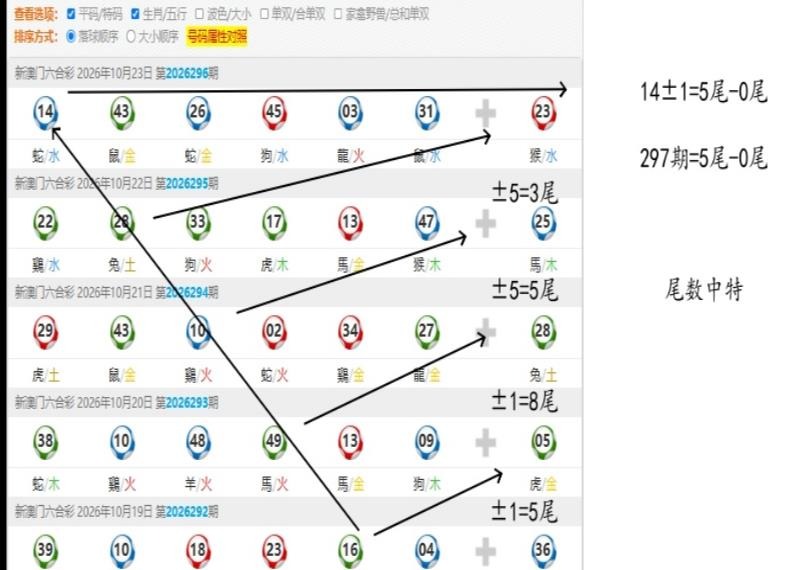 规律12